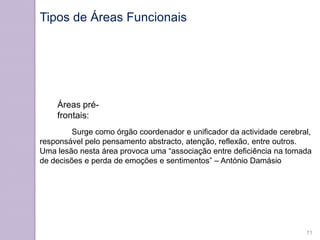 Áreas pré-
frontais:
Surge como órgão coordenador e unificador da actividade cerebral,
responsável pelo pensamento abstracto, atenção, reflexão, entre outros.
Uma lesão nesta área provoca uma “associação entre deficiência na tomada
de decisões e perda de emoções e sentimentos” – António Damásio
Tipos de Áreas Funcionais
71
 