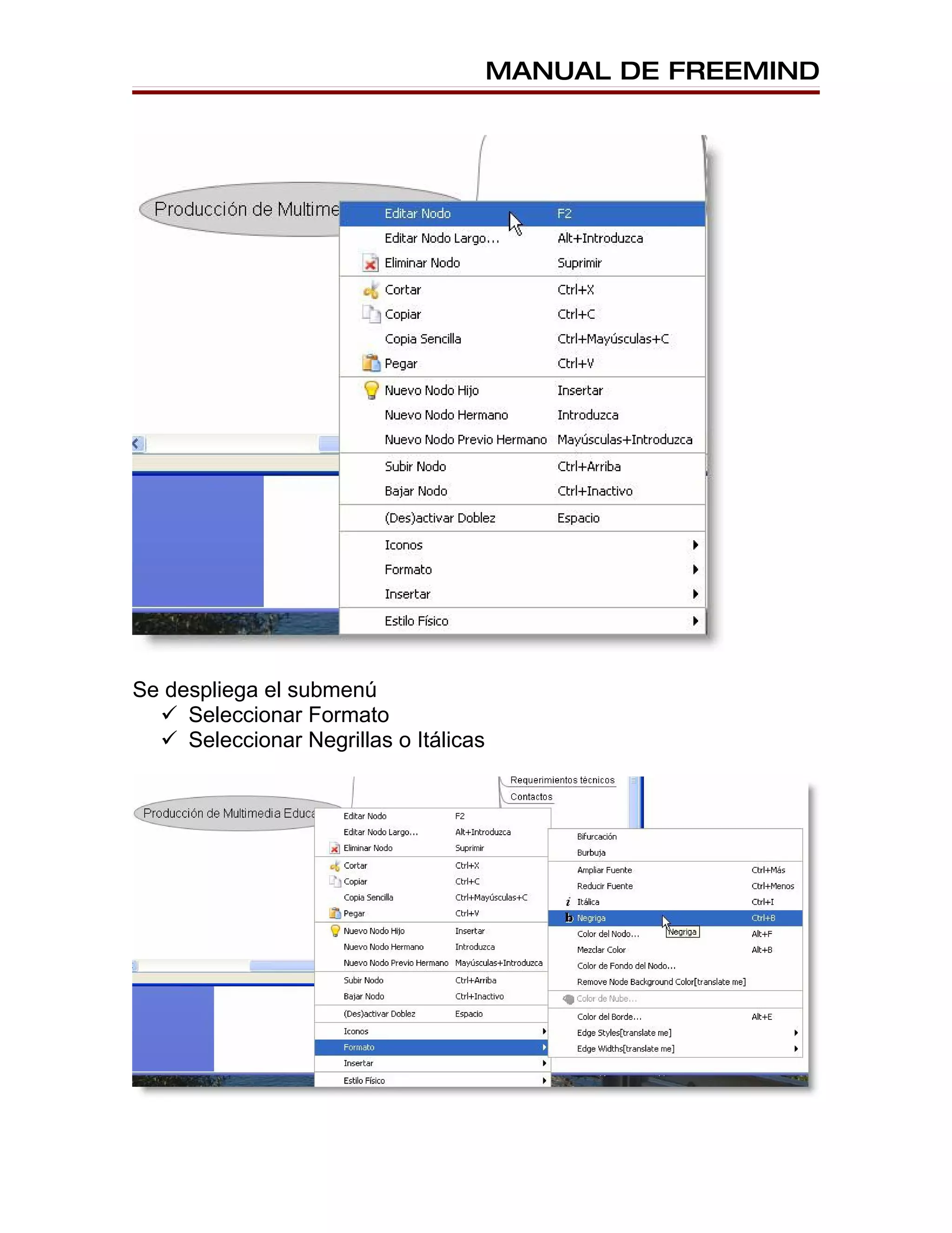 MANUAL DE FREEMIND




Se despliega el submenú
   Seleccionar Formato
   Seleccionar Negrillas o Itálicas
 