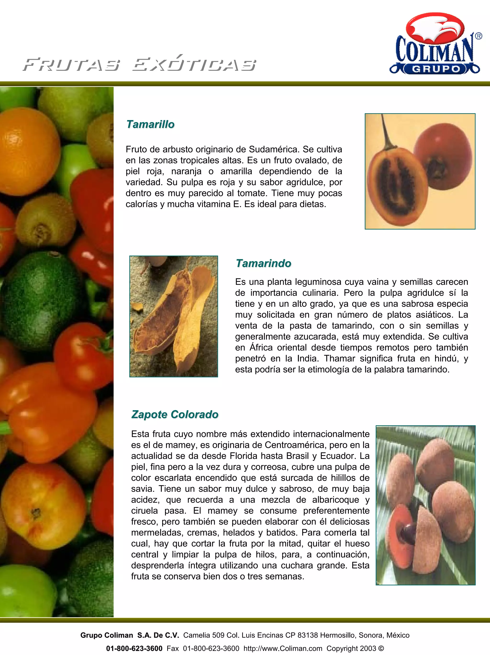 Frutas ExóticasFrutas Exóticas
Fruto de arbusto originario de Sudamérica. Se cultiva
en las zonas tropicales altas. Es un fruto ovalado, de
piel roja, naranja o amarilla dependiendo de la
variedad. Su pulpa es roja y su sabor agridulce, por
dentro es muy parecido al tomate. Tiene muy pocas
calorías y mucha vitamina E. Es ideal para dietas.
TamarilloTamarillo
Es una planta leguminosa cuya vaina y semillas carecen
de importancia culinaria. Pero la pulpa agridulce sí la
tiene y en un alto grado, ya que es una sabrosa especia
muy solicitada en gran número de platos asiáticos. La
venta de la pasta de tamarindo, con o sin semillas y
generalmente azucarada, está muy extendida. Se cultiva
en África oriental desde tiempos remotos pero también
penetró en la India. Thamar significa fruta en hindú, y
esta podría ser la etimología de la palabra tamarindo.
Esta fruta cuyo nombre más extendido internacionalmente
es el de mamey, es originaria de Centroamérica, pero en la
actualidad se da desde Florida hasta Brasil y Ecuador. La
piel, fina pero a la vez dura y correosa, cubre una pulpa de
color escarlata encendido que está surcada de hilillos de
savia. Tiene un sabor muy dulce y sabroso, de muy baja
acidez, que recuerda a una mezcla de albaricoque y
ciruela pasa. El mamey se consume preferentemente
fresco, pero también se pueden elaborar con él deliciosas
mermeladas, cremas, helados y batidos. Para comerla tal
cual, hay que cortar la fruta por la mitad, quitar el hueso
central y limpiar la pulpa de hilos, para, a continuación,
desprenderla íntegra utilizando una cuchara grande. Esta
fruta se conserva bien dos o tres semanas.
Zapote ColoradoZapote Colorado
TamarindoTamarindo
Grupo Coliman S.A. De C.V.Grupo Coliman S.A. De C.V. Camelia 509 Col. Luis Encinas CP 83138 Hermosillo, Sonora, México
0101--800800--623623--36003600 Fax 01-800-623-3600 http://www.Coliman.com Copyright 2003 ©
 