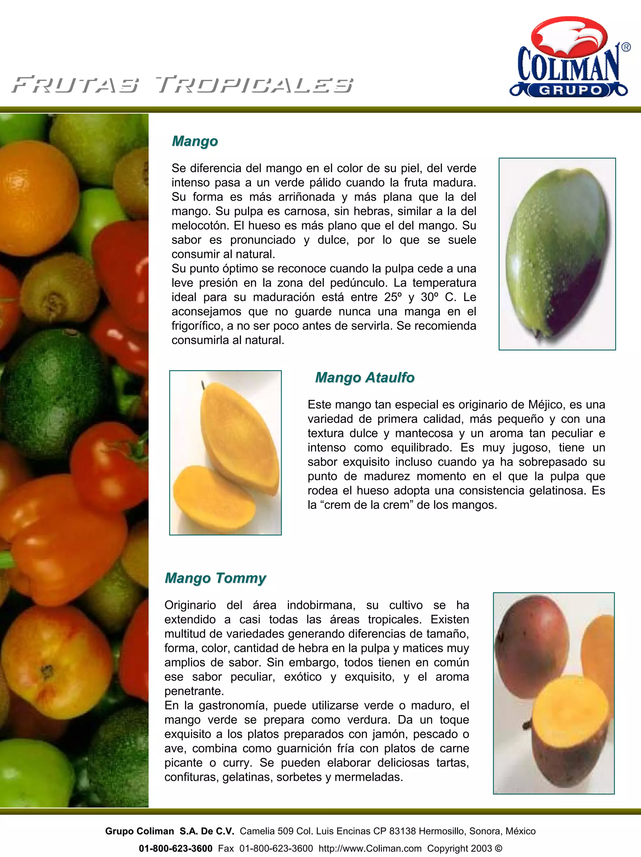 Frutas TropicalesFrutas Tropicales
MangoMango
Se diferencia del mango en el color de su piel, del verde
intenso pasa a un verde pálido cuando la fruta madura.
Su forma es más arriñonada y más plana que la del
mango. Su pulpa es carnosa, sin hebras, similar a la del
melocotón. El hueso es más plano que el del mango. Su
sabor es pronunciado y dulce, por lo que se suele
consumir al natural.
Su punto óptimo se reconoce cuando la pulpa cede a una
leve presión en la zona del pedúnculo. La temperatura
ideal para su maduración está entre 25º y 30º C. Le
aconsejamos que no guarde nunca una manga en el
frigorífico, a no ser poco antes de servirla. Se recomienda
consumirla al natural.
Mango AtaulfoMango Ataulfo
Este mango tan especial es originario de Méjico, es una
variedad de primera calidad, más pequeño y con una
textura dulce y mantecosa y un aroma tan peculiar e
intenso como equilibrado. Es muy jugoso, tiene un
sabor exquisito incluso cuando ya ha sobrepasado su
punto de madurez momento en el que la pulpa que
rodea el hueso adopta una consistencia gelatinosa. Es
la “crem de la crem” de los mangos.
Mango TommyMango Tommy
Originario del área indobirmana, su cultivo se ha
extendido a casi todas las áreas tropicales. Existen
multitud de variedades generando diferencias de tamaño,
forma, color, cantidad de hebra en la pulpa y matices muy
amplios de sabor. Sin embargo, todos tienen en común
ese sabor peculiar, exótico y exquisito, y el aroma
penetrante.
En la gastronomía, puede utilizarse verde o maduro, el
mango verde se prepara como verdura. Da un toque
exquisito a los platos preparados con jamón, pescado o
ave, combina como guarnición fría con platos de carne
picante o curry. Se pueden elaborar deliciosas tartas,
confituras, gelatinas, sorbetes y mermeladas.
Grupo Coliman S.A. De C.V.Grupo Coliman S.A. De C.V. Camelia 509 Col. Luis Encinas CP 83138 Hermosillo, Sonora, México
0101--800800--623623--36003600 Fax 01-800-623-3600 http://www.Coliman.com Copyright 2003 ©
 