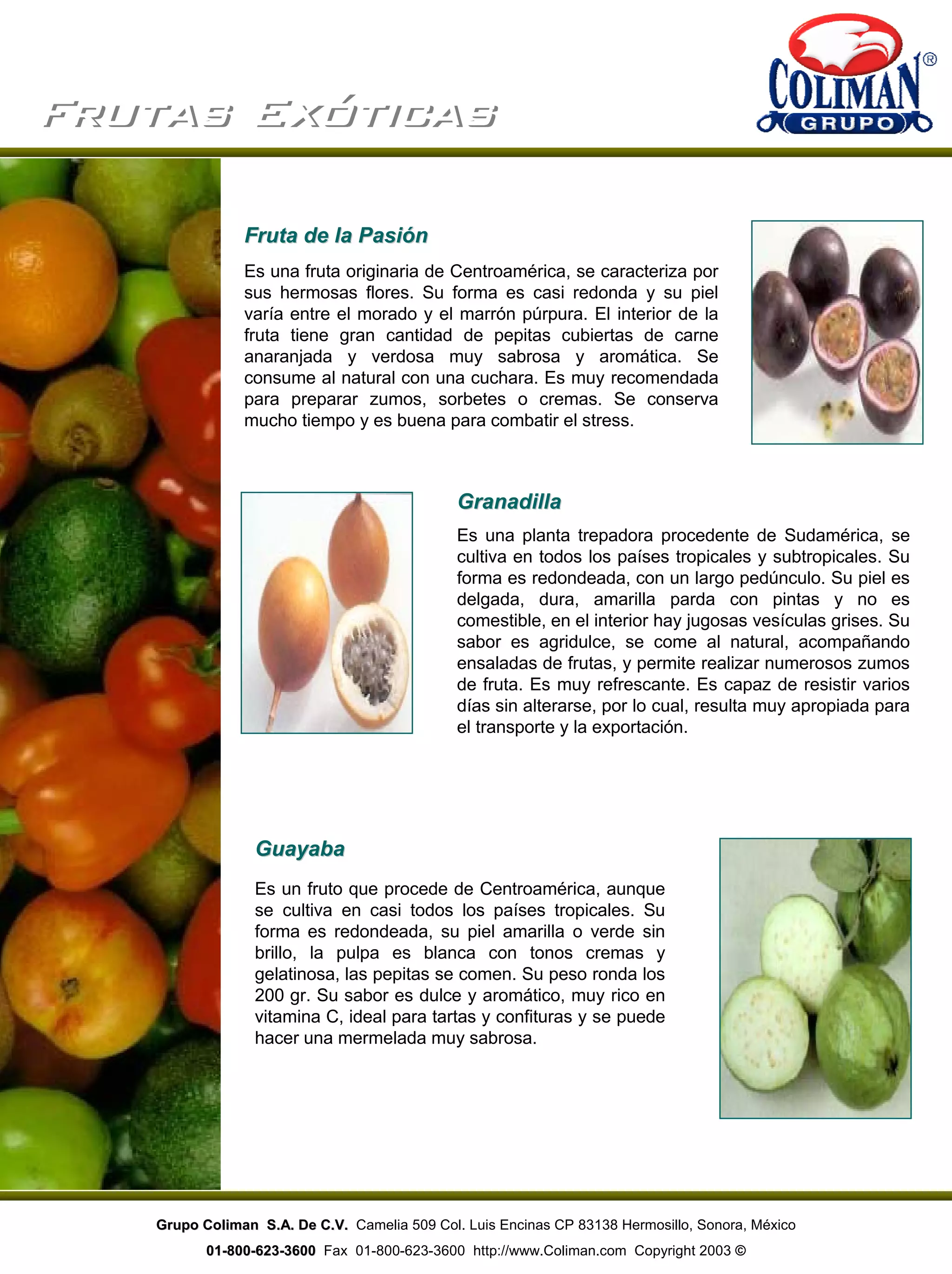 Frutas ExóticasFrutas Exóticas
Fruta de la PasiónFruta de la Pasión
Es una fruta originaria de Centroamérica, se caracteriza por
sus hermosas flores. Su forma es casi redonda y su piel
varía entre el morado y el marrón púrpura. El interior de la
fruta tiene gran cantidad de pepitas cubiertas de carne
anaranjada y verdosa muy sabrosa y aromática. Se
consume al natural con una cuchara. Es muy recomendada
para preparar zumos, sorbetes o cremas. Se conserva
mucho tiempo y es buena para combatir el stress.
GranadillaGranadilla
Es una planta trepadora procedente de Sudamérica, se
cultiva en todos los países tropicales y subtropicales. Su
forma es redondeada, con un largo pedúnculo. Su piel es
delgada, dura, amarilla parda con pintas y no es
comestible, en el interior hay jugosas vesículas grises. Su
sabor es agridulce, se come al natural, acompañando
ensaladas de frutas, y permite realizar numerosos zumos
de fruta. Es muy refrescante. Es capaz de resistir varios
días sin alterarse, por lo cual, resulta muy apropiada para
el transporte y la exportación.
GuayabaGuayaba
Es un fruto que procede de Centroamérica, aunque
se cultiva en casi todos los países tropicales. Su
forma es redondeada, su piel amarilla o verde sin
brillo, la pulpa es blanca con tonos cremas y
gelatinosa, las pepitas se comen. Su peso ronda los
200 gr. Su sabor es dulce y aromático, muy rico en
vitamina C, ideal para tartas y confituras y se puede
hacer una mermelada muy sabrosa.
Grupo Coliman S.A. De C.V.Grupo Coliman S.A. De C.V. Camelia 509 Col. Luis Encinas CP 83138 Hermosillo, Sonora, México
0101--800800--623623--36003600 Fax 01-800-623-3600 http://www.Coliman.com Copyright 2003 ©
 