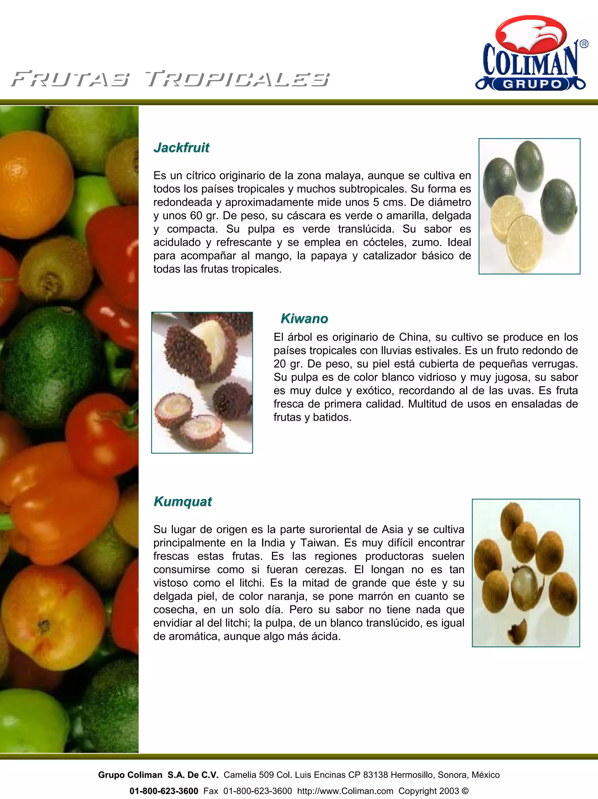 Frutas TropicalesFrutas Tropicales
El árbol es originario de China, su cultivo se produce en los
países tropicales con lluvias estivales. Es un fruto redondo de
20 gr. De peso, su piel está cubierta de pequeñas verrugas.
Su pulpa es de color blanco vidrioso y muy jugosa, su sabor
es muy dulce y exótico, recordando al de las uvas. Es fruta
fresca de primera calidad. Multitud de usos en ensaladas de
frutas y batidos.
Su lugar de origen es la parte suroriental de Asia y se cultiva
principalmente en la India y Taiwan. Es muy difícil encontrar
frescas estas frutas. Es las regiones productoras suelen
consumirse como si fueran cerezas. El longan no es tan
vistoso como el litchi. Es la mitad de grande que éste y su
delgada piel, de color naranja, se pone marrón en cuanto se
cosecha, en un solo día. Pero su sabor no tiene nada que
envidiar al del litchi; la pulpa, de un blanco translúcido, es igual
de aromática, aunque algo más ácida.
KiwanoKiwano
JackfruitJackfruit
Es un cítrico originario de la zona malaya, aunque se cultiva en
todos los países tropicales y muchos subtropicales. Su forma es
redondeada y aproximadamente mide unos 5 cms. De diámetro
y unos 60 gr. De peso, su cáscara es verde o amarilla, delgada
y compacta. Su pulpa es verde translúcida. Su sabor es
acidulado y refrescante y se emplea en cócteles, zumo. Ideal
para acompañar al mango, la papaya y catalizador básico de
todas las frutas tropicales.
KumquatKumquat
Grupo Coliman S.A. De C.V.Grupo Coliman S.A. De C.V. Camelia 509 Col. Luis Encinas CP 83138 Hermosillo, Sonora, México
0101--800800--623623--36003600 Fax 01-800-623-3600 http://www.Coliman.com Copyright 2003 ©
 