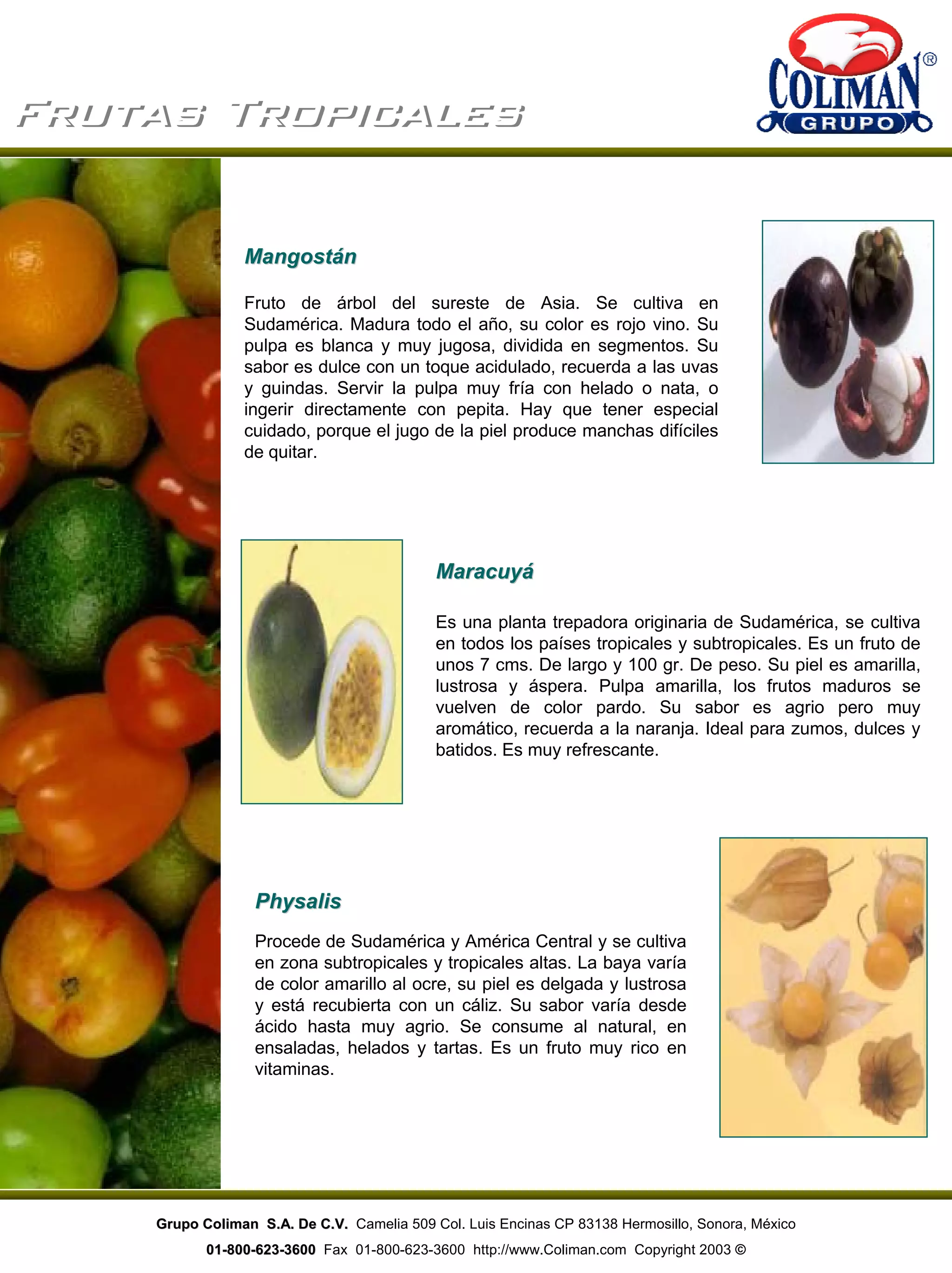 Frutas TropicalesFrutas Tropicales
Es una planta trepadora originaria de Sudamérica, se cultiva
en todos los países tropicales y subtropicales. Es un fruto de
unos 7 cms. De largo y 100 gr. De peso. Su piel es amarilla,
lustrosa y áspera. Pulpa amarilla, los frutos maduros se
vuelven de color pardo. Su sabor es agrio pero muy
aromático, recuerda a la naranja. Ideal para zumos, dulces y
batidos. Es muy refrescante.
MangostánMangostán
Fruto de árbol del sureste de Asia. Se cultiva en
Sudamérica. Madura todo el año, su color es rojo vino. Su
pulpa es blanca y muy jugosa, dividida en segmentos. Su
sabor es dulce con un toque acidulado, recuerda a las uvas
y guindas. Servir la pulpa muy fría con helado o nata, o
ingerir directamente con pepita. Hay que tener especial
cuidado, porque el jugo de la piel produce manchas difíciles
de quitar.
MaracuyáMaracuyá
PhysalisPhysalis
Procede de Sudamérica y América Central y se cultiva
en zona subtropicales y tropicales altas. La baya varía
de color amarillo al ocre, su piel es delgada y lustrosa
y está recubierta con un cáliz. Su sabor varía desde
ácido hasta muy agrio. Se consume al natural, en
ensaladas, helados y tartas. Es un fruto muy rico en
vitaminas.
Grupo Coliman S.A. De C.V.Grupo Coliman S.A. De C.V. Camelia 509 Col. Luis Encinas CP 83138 Hermosillo, Sonora, México
0101--800800--623623--36003600 Fax 01-800-623-3600 http://www.Coliman.com Copyright 2003 ©
 
