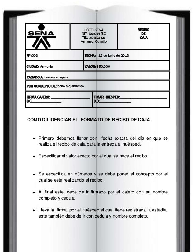 manual de funciones y proce para caja 1