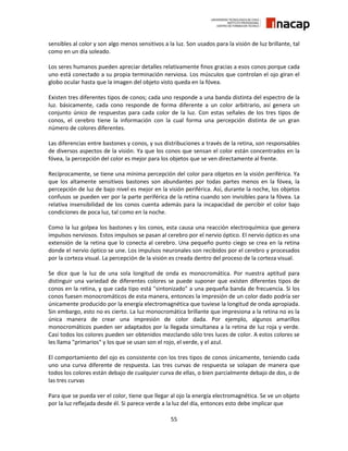 55
sensibles al color y son algo menos sensitivos a la luz. Son usados para la visión de luz brillante, tal
como en un día soleado.
Los seres humanos pueden apreciar detalles relativamente finos gracias a esos conos porque cada
uno está conectado a su propia terminación nerviosa. Los músculos que controlan el ojo giran el
globo ocular hasta que la imagen del objeto visto queda en la fóvea.
Existen tres diferentes tipos de conos; cada uno responde a una banda distinta del espectro de la
luz. básicamente, cada cono responde de forma diferente a un color arbitrario, así genera un
conjunto único de respuestas para cada color de la luz. Con estas señales de los tres tipos de
conos, el cerebro tiene la información con la cual forma una percepción distinta de un gran
número de colores diferentes.
Las diferencias entre bastones y conos, y sus distribuciones a través de la retina, son responsables
de diversos aspectos de la visión. Ya que los conos que sensan el color están concentrados en la
fóvea, la percepción del color es mejor para los objetos que se ven directamente al frente.
Recíprocamente, se tiene una mínima percepción del color para objetos en la visión periférica. Ya
que los altamente sensitivos bastones son abundantes por todas partes menos en la fóvea, la
percepción de luz de bajo nivel es mejor en la visión periférica. Así, durante la noche, los objetos
confusos se pueden ver por la parte periférica de la retina cuando son invisibles para la fóvea. La
relativa insensibilidad de los conos cuenta además para la incapacidad de percibir el color bajo
condiciones de poca luz, tal como en la noche.
Como la luz golpea los bastones y los conos, esta causa una reacción electroquímica que genera
impulsos nerviosos. Estos impulsos se pasan al cerebro por el nervio óptico. El nervio óptico es una
extensión de la retina que lo conecta al cerebro. Una pequeño punto ciego se crea en la retina
donde el nervio óptico se une. Los impulsos neuronales son recibidos por el cerebro y procesados
por la corteza visual. La percepción de la visión es creada dentro del proceso de la corteza visual.
Se dice que la luz de una sola longitud de onda es monocromática. Por nuestra aptitud para
distinguir una variedad de diferentes colores se puede suponer que existen diferentes tipos de
conos en la retina, y que cada tipo está "sintonizado" a una pequeña banda de frecuencia. Si los
conos fuesen monocromáticos de esta manera, entonces la impresión de un color dado podría ser
únicamente producido por la energía electromagnética que tuviese la longitud de onda apropiada.
Sin embargo, esto no es cierto. La luz monocromática brillante que impresiona a la retina no es la
única manera de crear una impresión de color dada. Por ejemplo, algunos amarillos
monocromáticos pueden ser adaptados por la llegada simultanea a la retina de luz roja y verde.
Casi todos los colores pueden ser obtenidos mezclando sólo tres luces de color. A estos colores se
les llama "primarios" y los que se usan son el rojo, el verde, y el azul.
El comportamiento del ojo es consistente con los tres tipos de conos únicamente, teniendo cada
uno una curva diferente de respuesta. Las tres curvas de respuesta se solapan de manera que
todos los colores están debajo de cualquier curva de ellas, o bien parcialmente debajo de dos, o de
las tres curvas
Para que se pueda ver el color, tiene que llegar al ojo la energía electromagnética. Se ve un objeto
por la luz reflejada desde él. Si parece verde a la luz del día, entonces esto debe implicar que
 