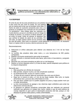 13.6 DESPIQUE 
El corte de pico de las aves ponedoras es una práctica recomendable tanto como la gallina 
a piso como las que viven en jaulas. Es una práctica 
que se realiza para evitar que se picoteen entre ellas. El 
hecho de estar en cautiverio acrecienta este vicio y se 
produce un problema muy conocido por los avicultores: 
“el canibalismo”. Este trabajo debe ser realizado con 
mucha técnica, ya que en una falla se corre el riesgo de 
inutilizar al animal y no producir el efecto deseado, que 
es evitar el picaje. Antes de planear el despique hay 
que verificar el estado de salud de los animales. Por 
otro lado, se debe realizar dentro de los primeros días 
de vida del pollito. Este corte no previene o evita totalmente el canibalismo; es necesario 
hacer un repaso entre la novena y décima semana de vida. 
Recomendaciones: 
a. Seleccione el orificio adecuado para obtener una distancia de 2 mm de las fosas 
nasales. 
b. La cuchilla des picadora debe estar recta y a una temperatura de 800 grados 
centígrados. 
c. Realizar una buena cauterización para evitar el sangrado. 
d. Proveer alimento a voluntad durante esta faena, para evitar el traumatismo y sangrado 
del ave. 
e. Recordar que una buena ponedora se daña con un mal despique. 
f. Realice un primer despique entre 6 y 8 días de edad, usando adaptador para pollitos en 
la máquina despicadora 
Recuerde que: 
· Más pequeñas son difíciles de manipular. 
· Más grandes, sangran mucho y es más complicado cauterizar. 
· Si cauterizamos bien, el pico no vuelve a crecer. 
· El largo del pico superior debe ser levemente más corto que el inferior. 
· Dejar por lo menos el corte, a 2 mm de las fosas nasales. Más corto, le impide 
alimentarse bien y provoca des uniformidad en el lote. 
· Hay que tener cuidado que no queden pegados los picos y luego pueden morir por 
no poder alimentarse. 
· La otra recomendación es agregar a las vitaminas algún antibiótico para evitar las 
infecciones crónicas del pico. 
· El despique en gallinas ponedoras comerciales debe ser realizado por personal 
calificado que garantice un trabajo bien hecho, debido a que de esta práctica de 
manejo depende en gran parte el desempeño productivo del lote, porque un mal 
despique te genera malos pesos y malas uniformidades. 
 