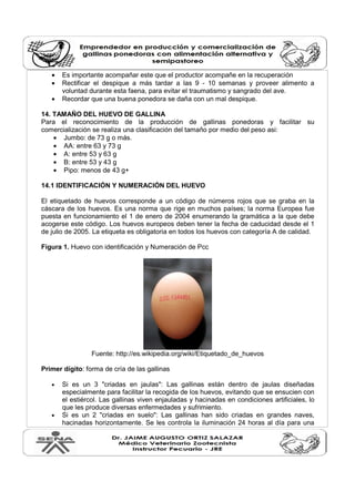 • Es importante acompañar este que el productor acompañe en la recuperación
• Rectificar el despique a más tardar a las 9 - 10 semanas y proveer alimento a
voluntad durante esta faena, para evitar el traumatismo y sangrado del ave.
• Recordar que una buena ponedora se daña con un mal despique.
14. TAMAÑO DEL HUEVO DE GALLINA
Para el reconocimiento de la producción de gallinas ponedoras y facilitar su
comercialización se realiza una clasificación del tamaño por medio del peso asi:
• Jumbo: de 73 g o más.
• AA: entre 63 y 73 g
• A: entre 53 y 63 g
• B: entre 53 y 43 g
• Pipo: menos de 43 g+
14.1 IDENTIFICACIÓN Y NUMERACIÓN DEL HUEVO
El etiquetado de huevos corresponde a un código de números rojos que se graba en la
cáscara de los huevos. Es una norma que rige en muchos países; la norma Europea fue
puesta en funcionamiento el 1 de enero de 2004 enumerando la gramática a la que debe
acogerse este código. Los huevos europeos deben tener la fecha de caducidad desde el 1
de julio de 2005. La etiqueta es obligatoria en todos los huevos con categoría A de calidad.
Figura 1. Huevo con identificación y Numeración de Pcc
Fuente: http://es.wikipedia.org/wiki/Etiquetado_de_huevos
Primer dígito: forma de cría de las gallinas
• Si es un 3 "criadas en jaulas": Las gallinas están dentro de jaulas diseñadas
especialmente para facilitar la recogida de los huevos, evitando que se ensucien con
el estiércol. Las gallinas viven enjauladas y hacinadas en condiciones artificiales, lo
que les produce diversas enfermedades y sufrimiento.
• Si es un 2 "criadas en suelo": Las gallinas han sido criadas en grandes naves,
hacinadas horizontamente. Se les controla la iluminación 24 horas al día para una
 