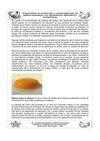 En cuanto a la concentración de proteína del pienso, una reducción de la misma tiene
efecto positivo en la consistencia del albumen, ya que aumenta las unidades Haugh,
mientras que el efecto contrario se observa al aumentar el nivel de inclusión de proteína en
la dieta. Lo mismo ocurre cuando se trata de aminoácidos concretos; por ejemplo, la
inclusión de mayores niveles de lisina en el pienso mejora esta característica del albumen.
El perfil de aminoácidos modifica la consistencia del albumen y con ello las unidades
Haugh. Por lo tanto, proteínas de diferente origen provocarán cambios en la consistencia
del albumen, debido a su diferente composición en aminoácidos.
Algunas fuentes proteicas que mejoran la consistencia del albumen son la harina de habas
y la harina de carne, mientras que otras, como la harina de girasol o de colza, presentan
efectos negativos sobre la consistencia del albumen. Se han hecho experimentos utilizando
L-carnitina en los que también se ha observado un efecto sobre la calidad del albumen.
Diversos autores han señalado el efecto de los metales sobre la consistencia del albumen.
Así, se ha determinado que dietas con aproximadamente un 0,9% de magnesio consiguen
mantener la estabilidad del albumen durante el almacenamiento y, por tanto, mantener en
un nivel alto las unidades Haugh. Lo contrario ocurre con el vanadio, ya que pequeñas
concentraciones de este metal (10 ppm), por ejemplo procedentes de algunas fuentes de
fosfato bicálcico, han provocado una mala consistencia del albumen. Diversos
experimentos con otras materias primas han intentado resolver el problema de la
contaminación por vanadio: un 5% de la harina de semilla de algodón, un 10% de
subproductos de la fermentación de granos (DDG) o 1.000 ppm de ácido ascórbico
contrarrestan los efectos del vanadio.
Efectos sobre la cáscara: El único criterio de calidad de la cáscara modificable a través de
la alimentación que recibe la gallina es su espesor.
La cáscara del huevo está formada en un 94% por carbonato cálcico. El ión carbonato
procede directamente de la difusión de CO2 de la sangre hacia las células de la glándula de
la cáscara, de manera que cuando aumenta la presión parcial de este gas en la sangre,
más fácil es la deposición de carbonato. Así, a mayor altitud, se podrán formar cáscaras
más gruesas, puesto que la presión atmosférica es menor y, por tanto, será mayor la
presión parcial de CO2 en la sangre respecto al exterior. Por lo tanto, la deposición de ión
carbonato no es dependiente de la alimentación. Sí lo es la deposición del ión calcio.
 