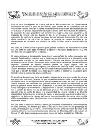 Este ión tiene dos orígenes: los huesos y el pienso. Muchos estudios han demostrado la
movilización de calcio a partir de los huesos, pero también se ha comprobado que la
dosificación extra de calcio en el pienso puede favorecer la deposición de carbonato cálcico
en el huevo sin que sea necesaria la movilización total a partir de los huesos. No obstante,
la absorción de calcio procedente del alimento tiene lugar en las horas siguientes a la
ingestión del mismo, esto es, durante el día. Y, sin embargo, la mayor parte de la
deposición del calcio de la cáscara tiene lugar durante las horas de oscuridad. Por ello, una
cierta movilización de calcio de los huesos se produce de manera inevitable y, en
consecuencia, es necesaria una provisión de calcio y fósforo para la mineralización de
éstos.
Por tanto, en la formulación de piensos para gallinas ponedoras se debe tener en cuenta
que una parte del calcio debe ir destinado a reponer el movilizado desde los huesos y otra
directamente a la deposición en la cáscara.
El calcio destinado a la reposición ósea debe ir acompañado de fósforo inorgánico, por
ejemplo, fosfato cálcico, mientras que el calcio que va directamente a la deposición en la
cáscara podrá proceder de otra fuente de calcio diferente, por ejemplo, el carbonato o el
bicarbonato cálcico. En los últimos años se ha comenzado a trabajar con fuentes de fósforo
orgánico, presentes en algunas materias primas de origen vegetal. Para el
aprovechamiento de este fósforo orgánico, que aparece en forma de fitatos, se recurre a la
adición de fitasas, enzimas capaces de mineralizar el fósforo presente en los fitatos. Se ha
visto que la adición de fitasas tiene efecto positivo sobre el espesor de la cáscara, pero
también sobre la cantidad de albumen del huevo.
El tamaño de las partículas de la sal de calcio utilizada tiene gran importancia, de manera
que partículas muy finas (a pesar de que se podrían absorber mejor al degradarse más
fácilmente en el tracto digestivo de la gallina) suponen un mayor rechazo por parte del
animal. Además, las partículas más gruesas tardan más tiempo en degradarse, lo que
puede suponer un mayor retraso en su absorción y, por tanto, una mayor concentración de
calcio en sangre en el momento de la deposición en la cáscara. Una recomendación podría
ser la adición de calcio con 2/3 de partículas gruesas. Así mismo, también existe una
relación entre la fuente de calcio y la digestibilidad del mismo, debido a la diferente
digestibilidad de los diversos orígenes del calcio, lo que provoca una diferente absorción y
deposición de éste en la cáscara del huevo. Una combinación de piedra caliza molida
(32%) y conchilla de ostras (68%) da unos buenos resultados, en cuanto al espesor de la
cáscara se refiere.
Por otra parte, la absorción de calcio disminuye cuando se incrementa la cantidad ingerida
de este elemento, de manera que dietas a las que se les añade un alto porcentaje de
calcio, al ver reducida su absorción, serían menos eficaces en la deposición de calcio en la
cáscara del huevo. Las recomendaciones de calcio de los diferentes autores se mueven en
torno a 4,1 g/kg de pienso para consumos de pienso por gallina alrededor de 110 g/día.
 