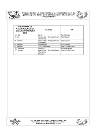 PROGRAMA DE
VACUNACION DE LA
GALLINA PONEDORA
EDAD
VACUNA VÍA
1er. día Marek Punción Alar
7o. día New Castle + Bronquitis Aviar
+ Gumboro
Gota Ocular
3ª. semana New Castle + Bronquitis Aviar
+ Gumboro
Gota Ocular
6ª. semana Viruela Aviar Punción Alar
8ª. semana Coriza Infecciosa Inyección Pechuga
10ª. Semana Gumboro Agua de bebida
14ª. semana New Castle + Bronquitis Aviar
+ Gumboro
Despique
Inyección Pechuga
 