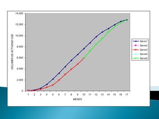 0
2,000
4,000
6,000
8,000
10,000
12,000
14,000
1 2 3 4 5 6 7 8 9 10 11 12 13 14 15 16 17
MESES
VOLUMEN
DE
ACTIVIDAD
US$
Serie1
Serie2
Serie3
Serie4
Serie5
 