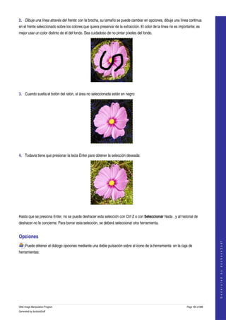  
2. Dibuje una línea através del frente: con la brocha, su tamaño se puede cambiar en opciones, dibuje una línea continua 
en el frente seleccionado sobre los colores que quiera preservar de la extracción. El color de la línea no es importante; es 
mejor usar un color distinto de el del fondo. Sea cuidadoso de no pintar píxeles del fondo. 




  

3. Cuando suelta el botón del ratón, el área no seleccionada están en negro: 




 

4. Todavia tiene que presionar la tecla Enter para obtener la selección deseada: 




 

Hasta que se presiona Enter, no se puede deshacer esta selección con Ctrl Z o con Seleccionar Nada , y al historial de 
deshacer no le concierne. Para borrar esta selección, se deberá seleccionar otra herramienta. 


Opciones 
                                                                                                                                       
                                                                                                                                      G e n e r a t e d   b y   d o c b o o k 2 o d f




     Puede obtener el diálogo opciones mediante una doble pulsación sobre el icono de la herramienta  en la caja de 
herramientas: 
  




GNU Image Manipulation Program                                                                                     Page 184 of 688 
Generated by docbook2odf
 