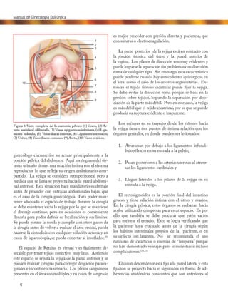 5
Capítulo 1: Anatomía Quirúrgica para el Ginecólogo
ligamento infundibulopélvico. Estas adherencias son
fáciles de libera...