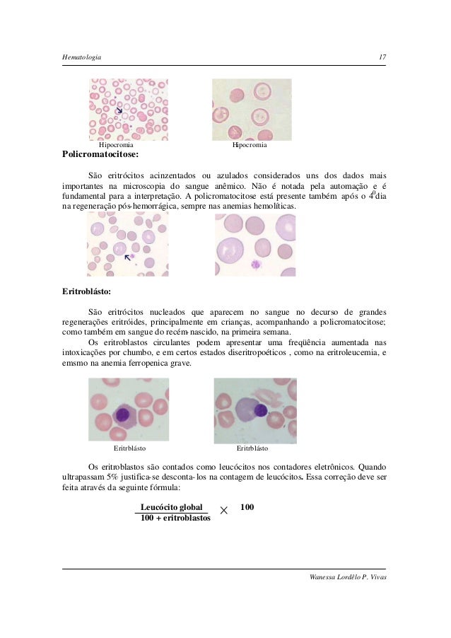 Manual de hematologia