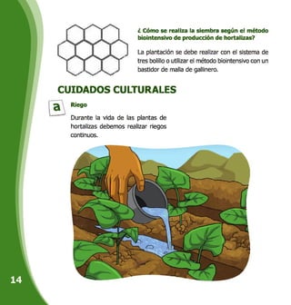 CUIDADOS CULTURALES
Riego
Durante la vida de las plantas de
hortalizas debemos realizar riegos
continuos.
i Cómo se realiza la siembra según el método
biointensivo de producción de hortalizas?
La plantación se debe realizar con el sistema de
tres bolillo o utilizar el método biointensivo con un
bastidor de malla de gallinero.
 