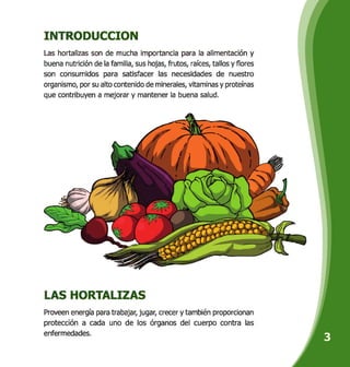 INTRODUCCION
Las hortalizas son de mucha importancia para la alimentación y
buena nutrición de la familia, sus hojas, frutos, raíces, tallos y flores
son consumidos para satisfacer las necesidades de nuestro
organismo, por su alto contenido de minerales, vitaminas y proteínas
que contribuyen a mejorar y mantener la buena salud.
LAS HORTALIZAS
Proveen energía para trabajar, jugar, crecer y también proporcionan
protección a cada uno de los órganos del cuerpo contra las
enfermedades.
 