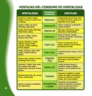 VENTAJAS DEL CONSUMO DE HORTALIZAS
H HORTALIZAS
VITAMINAS Y
MINERALES
r.
VENTAJAS
Zanahoria, Tomate, Acelga,
Zapallo, Lechuga, Arveja Fresca
y Espinaca
Vitamina A
Indispensable para la vista, evita
la ceguera nocturna, ayuda en el
desarrollo de los huesos.
Cebolla, Coliflor, Ají Fresco,
Betarraga, Haba Verde.
Vitamina B1
Evita el cansancio, la depresión y
mejora el apetito.
Acelga, Papa Cocida, Betarraga,
Haba Verde, Ulupica.
Vitamina B2
Más vigor, crecimiento, mayor
tolerancia a enfermedades.
Ají fresco, Coliflor, Ulupica,
Repollo, Haba Verde. Vitamina C
Ayuda a cicatrizar heridas,
formación de huesos o de dientes,
evita los resfríos.
Cebolla, Zanahoria, Acelga,
Vainitas, Poroto, Arveja,
Lechuga, Cebolla, Espinaca,
Brócoli, Repollo.
Calcio (Ca)
Ayuda a la formación de los
huesos, dientes, funcionamiento
del sistema nervioso.
Acelga. Ají fresco, Haba verde.
Ulupica, Cebolla, Rábano,
Zapallo.
Hierro (Fe)
Importante para la sangre, evita la
anemia.
Cebolla, Papa, Vainitas, Porotos,
Espárragos, Maíz choclo.
Magnesio
(Mg)
Ayuda al funcionamiento normal
del corazón, ayuda al sistema
nervioso.
Zanahoria, Tomate, Haba verde,
Ajo, Cebolla, Maíz choclo,
Arveja fresca, Ají fresco, Brócoli,
Rábano
Fosforo (P)
La falta de este provoca el
raquitismo ayuda al sistema
nervioso y a la formación de los
huesos.
Vainitas,Haba Verde, Ajo, Arveja
Fresca, Ulupica,Papa
Proteínas
Proporciona vitalidad y energía,
reparan los tejidos musculares, se
forman los músculos, la sangre,
huesos, piel y otros tejidos.
Cebolla, Zanahoria, Remolacha,
Ajo, Haba fresca.
Carbohidratos
y grasas
Proporciona principalmente
energía al organismo, las grasas
son necesarias para formar y
utilizar algunas vitaminas.
O
 