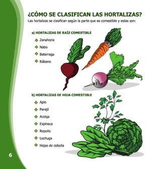 ¿CÓMO SE CLASIFICAN LAS HORTALIZAS?
Las hortalizas se clasifican según la parte que es comestible y estas son:
a) HORTALIZAS DE RAÍZ COMÍ 3LE
Zanahoria
Nabo
Beterraga
Rábano
b) HORTALIZAS DE HOJA COMESTIBLE
Apio
Perejil
Acelga
Espinaca
Repollo
Lechuga
Hojas de cebolla
 