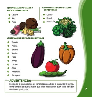 C) HORTALIZAS DE TALLOS Y
BULBOS COMESTIBLES
Cebolla
Ajo
Papa
e) HORTALIZAS DE FRUTO COMESTIBLES
Tomate
Pepino
Zapallo
Vainita
Haba
Arveja
Locoto
Ajíes
Pimentón
Berenjena
d) HORTALIZAS DE FLOR - COLES
COMESTIBLES
Coliflor
Br6coli
Alcachofa
ir- ADVERTENCIA: -
El éxito de la producción de las hortalizas depende de la calidad de la semilla,
como también del suelo, puesto que estas necesitan un buen suelo para dar
una buena producción.
 