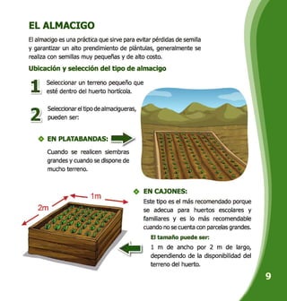EL ALMACIGO
El almacigo es una práctica que sirve para evitar pérdidas de semilla
y garantizar un alto prendimiento de plántulas, generalmente se
realiza con semillas muy pequeñas y de alto costo.
Ubicación y selección del tipo de almacigo
Seleccionar un terreno pequeño que
esté dentro del huerto hortícola.
Seleccionar el tipo de almacigueras,
pueden ser:
EN PLATABANDAS:
Cuando se realicen siembras
grandes y cuando se dispone de
mucho terreno.
A A j 4.
s6..
&).
EN CAJONES:
Este tipo es el más recomendado porque
se adecua para huertos escolares y
familiares y es lo más recomendable
cuando no se cuenta con parcelas grandes.
El tamaño puede ser:
1 m de ancho por 2 m de largo,
dependiendo de la disponibilidad del
terreno del huerto.
1
21
 