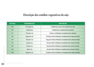 12 
Descrição dos estádios vegetativos da soja 
Estádio denominação DESCRIÇÃO 
VE Emergência Cotilédones acima da superfície do solo 
VC Cotilédone Cotilédones completamente abertos 
V1 Primeiro nó Folhas unifoliadas completamente abertas 
V2 Segundo nó Primeira folha trifoliada completamente desenvolvida 
V3 Terceiro nó Segunda folha trifoliada completamente desenvolvida 
V4 Quarto nó Terceira folha trifoliada completamente desenvolvida 
V5 Quinto nó Quarta folha trifoliada completamente desenvolvida 
V6 Sexto nó Quinta folha trifoliada completamente desenvolvida 
Vn Enésimo nó Enésima folha trifoliada completamente desenvolvida 
 