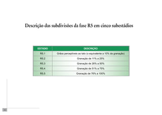 14 
Descrição das subdivisões da fase R5 em cinco subestádios 
Estádio deSCRIÇÃO 
R5.1 Grãos perceptíveis ao tato (o equivalente a 10% da granação) 
R5.2 Granação de 11% a 25% 
R5.3 Granação de 26% a 50% 
R5.4 Granação de 51% a 75% 
R5.5 Granação de 76% a 100% 
 