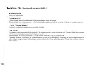28 
Tombamento (damping-off, morte em reboleira) 
Agente causal 
Rhizoctonia solani Kühn. 
Disseminação 
O fungo ocorre pelo solo contaminado por escleródios e por restos de cultura. 
A disseminação ocorre pela semente, e a distribuição na lavoura é observada na forma de reboleiras ou manchas ao acaso. 
Condições favoráveis 
Ocorre sob condições de temperatura e umidade elevadas. 
Descrição 
O sintoma se inicia com uma podridão castanha e de aspecto aquoso na haste, próximo ao solo. Com a evolução dos sintomas, 
as lesões evoluem para cima e para baixo da lesão inicial. 
Posteriormente, as raízes se escurecem e o tecido cortical fica mole e solta-se com facilidade. 
É bastante frequente a ocorrência de estrangulamento do colo no nível do solo, o que resulta na murcha, tombamento ou 
sobrevivência temporária das plântulas que emitem raízes adventícias acima da região afetada, mas tombam antes do 
florescimento. 
 