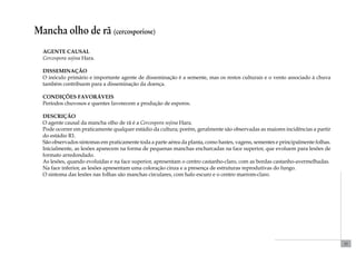 33 
Mancha olho de rã (cercosporiose) 
Agente causal 
Cercospora sojina Hara. 
Disseminação 
O inóculo primário e importante agente de disseminação é a semente, mas os restos culturais e o vento associado à chuva 
também contribuem para a disseminação da doença. 
Condições favoráveis 
Períodos chuvosos e quentes favorecem a produção de esporos. 
Descrição 
O agente causal da mancha olho de rã é a Cercospora sojina Hara. 
Pode ocorrer em praticamente qualquer estádio da cultura; porém, geralmente são observadas as maiores incidências a partir 
do estádio R1. 
São observados sintomas em praticamente toda a parte aérea da planta, como hastes, vagens, sementes e principalmente folhas. 
Inicialmente, as lesões aparecem na forma de pequenas manchas encharcadas na face superior, que evoluem para lesões de 
formato arredondado. 
As lesões, quando evoluídas e na face superior, apresentam o centro castanho-claro, com as bordas castanho-avermelhadas. 
Na face inferior, as lesões apresentam uma coloração cinza e a presença de estruturas reprodutivas do fungo. 
O sintoma das lesões nas folhas são manchas circulares, com halo escuro e o centro marrom-claro. 
 