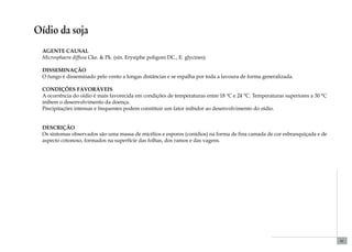 61 
Oídio da soja 
Agente causal 
Microsphaera diffusa Cke. & Pk. (sin. Erysiphe poligoni DC., E. glycines). 
Disseminação 
O fungo é disseminado pelo vento a longas distâncias e se espalha por toda a lavoura de forma generalizada. 
Condições favoráveis 
A ocorrência do oídio é mais favorecida em condições de temperaturas entre 18 ºC e 24 °C. Temperaturas superiores a 30 °C 
inibem o desenvolvimento da doença. 
Precipitações intensas e frequentes podem constituir um fator inibidor ao desenvolvimento do oídio. 
Descrição 
Os sintomas observados são uma massa de micélios e esporos (conídios) na forma de fina camada de cor esbranquiçada e de 
aspecto cotonoso, formados na superfície das folhas, dos ramos e das vagens. 
 
