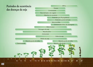 10 
DFCs 
Viroses 
Crestamento 
Seca da haste e da vagem 
Mancha do mirotécio 
Podridão por Phytophthora 
Podridão-parda da haste 
Mela da folha 
Crestamento foliar de cercóspora 
Mofo branco 
Ferrugem da soja 
Mancha-alvo 
Antracnose 
Oídio da soja 
Míldio da soja 
Períodos de ocorrência 
das doenças da soja 
Mancha-parda da folha Mancha-parda da folha 
Tombamento Mancha olho de rã 
VC V1 V2 V3 VN V9 R1 R2 R3 R4 R5.1 R5.2 R5.3 R5.4 R5.5 R6 R7 R8 R9 
 