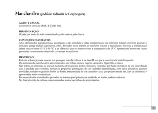 85 
Mancha-alvo (podridão radicular de Corynespora) 
Agente causal 
Corynespora cassiicola (Berk. & Curt.) Wei. 
Disseminação 
Ocorre por meio do solo contaminado, pelo vento e pela chuva. 
Condições favoráveis 
Altas densidades populacionais, associadas a alta umidade e altas temperaturas. As infecções foliares ocorrem quando a 
umidade atinge índices superiores a 80%. Períodos secos inibem as infecções foliares e radiculares. No solo, a temperatura 
ótima situa-se entre 15 ºC e 18 °C, e as plântulas que se desenvolvem à temperatura de 15 °C apresentam lesões nas raízes 
primárias e crescimento retardado das raízes secundárias. 
Descrição 
Embora a doença possa ocorrer em qualquer fase da cultura, é na fase R1 em que a ocorrência é mais frequente. 
Os sintomas da mancha-alvo são observados em folhas, ramos, vagens, sementes, hipocótilo e raízes. 
Nas folhas, os sintomas se iniciam na forma de pequenas lesões circulares, rodeadas por halos cloróticos de cor esverdeada 
que, à medida que evoluem, tornam-se pequenas pontuações de cor castanho-avermelhada, com halos amarelos; quando 
evoluídas, tornam-se grandes lesões de forma arredondada de cor castanho-clara, que podem medir até 2 cm de diâmetro, e 
apresentam anéis concêntricos. 
Em casos de alta severidade e períodos de intensa precipitação ou umidade, as lesões podem coalescer. 
No final do ciclo da cultura, são observadas lesões nas folhas do terço inferior. 
 