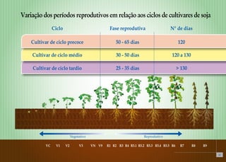11 
Variação dos períodos reprodutivos em relação aos ciclos de cultivares de soja 
Ciclo 
Cultivar de ciclo precoce 
Fase reprodutiva 
50 - 65 dias 
N° de dias 
120 
Cultivar de ciclo médio 30 - 50 dias 120 a 130 
Cultivar de ciclo tardio 25 - 35 dias > 130 
Vegetativo Reprodutivo 
VC V1 V2 V3 VN V9 R1 R2 R3 R4 R5.1 R5.2 R5.3 R5.4 R5.5 R6 R7 R8 R9 
 