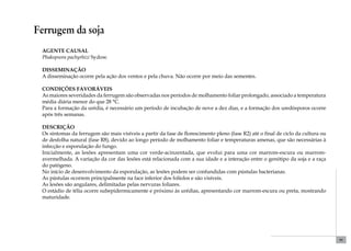 99 
Ferrugem da soja 
Agente causal 
Phakopsora pachyrhizi Sydow. 
Disseminação 
A disseminação ocorre pela ação dos ventos e pela chuva. Não ocorre por meio das sementes. 
Condições favoráveis 
As maiores severidades da ferrugem são observadas nos períodos de molhamento foliar prolongado, associado a temperatura 
média diária menor do que 28 °C. 
Para a formação da urédia, é necessário um período de incubação de nove a dez dias, e a formação dos uredósporos ocorre 
após três semanas. 
Descrição 
Os sintomas da ferrugem são mais visíveis a partir da fase de florescimento pleno (fase R2) até o final de ciclo da cultura ou 
de desfolha natural (fase R8), devido ao longo período de molhamento foliar e temperaturas amenas, que são necessárias à 
infecção e esporulação do fungo. 
Inicialmente, as lesões apresentam uma cor verde-acinzentada, que evolui para uma cor marrom-escura ou marrom-avermelhada. 
A variação da cor das lesões está relacionada com a sua idade e a interação entre o genótipo da soja e a raça 
do patógeno. 
No início de desenvolvimento da esporulação, as lesões podem ser confundidas com pústulas bacterianas. 
As pústulas ocorrem principalmente na face inferior dos folíolos e são visíveis. 
As lesões são angulares, delimitadas pelas nervuras foliares. 
O estádio de télia ocorre subepidermicamente e próximo às urédias, apresentando cor marrom-escura ou preta, mostrando 
maturidade. 
 