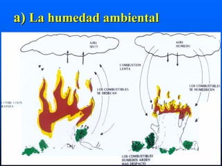 a) La humedad ambiental
 