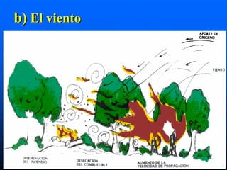 b) El viento
 