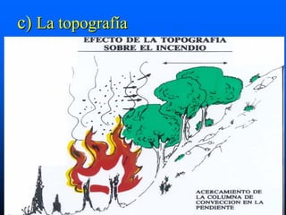 c) La topografía
 