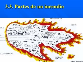 3.3. Partes de un incendio
 