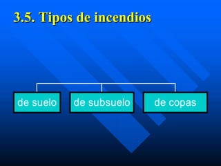 3.5. Tipos de incendios




de suelo   de subsuelo    de copas
 