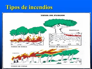 Tipos de incendios
 
