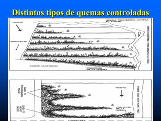 Distintos tipos de quemas controladas
 