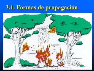 3.1. Formas de propagación
 