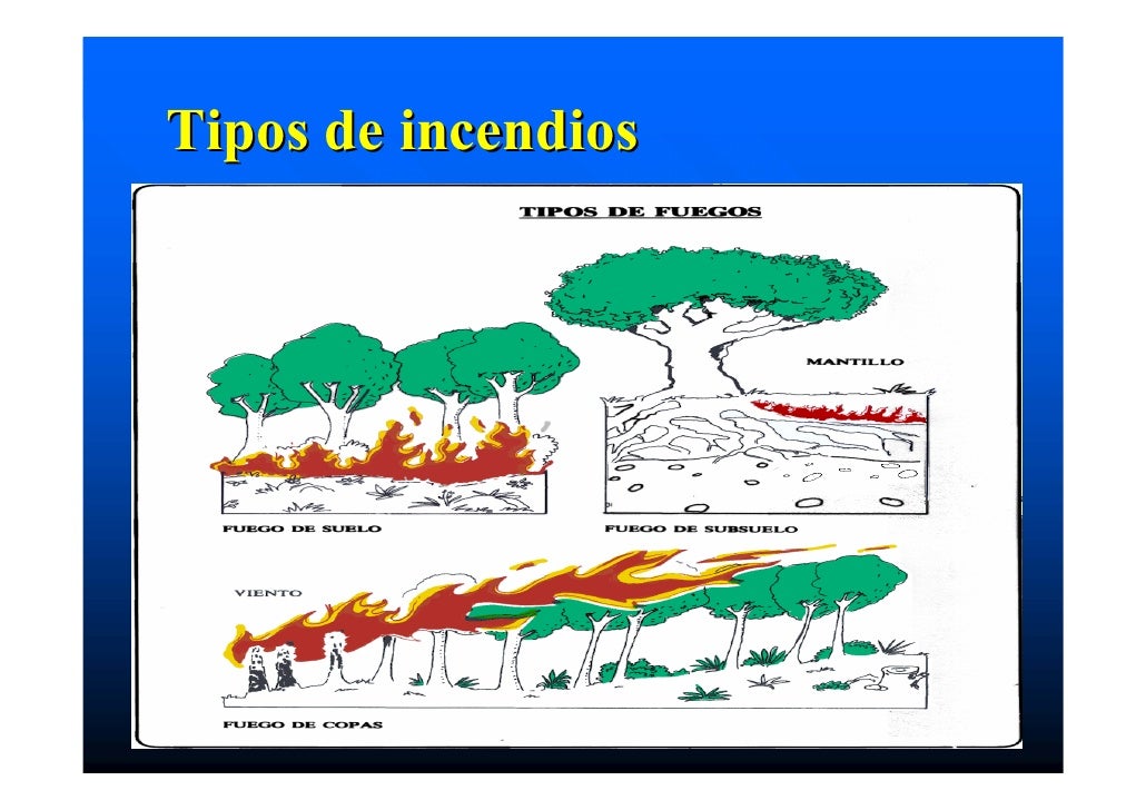 Manual De Incendios Forestales