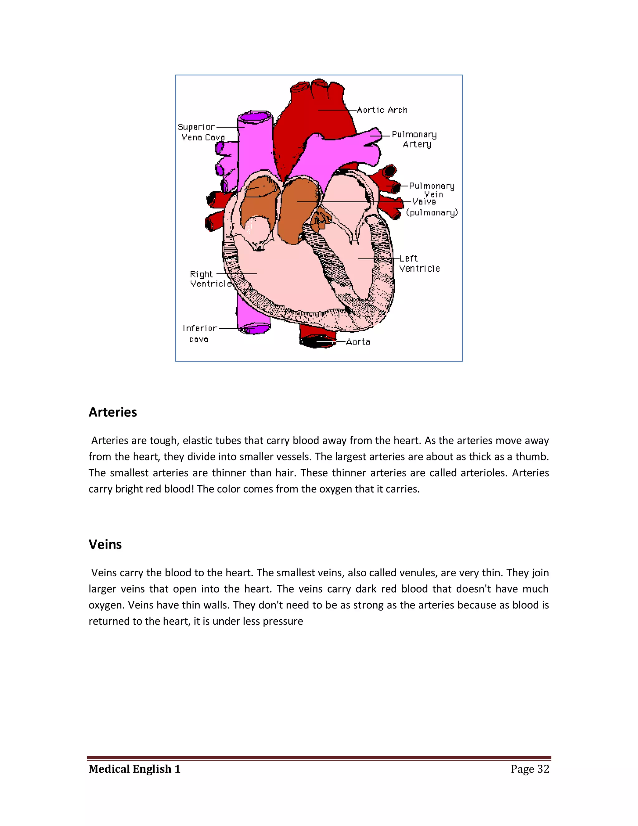 Arteries
 Arteries are tough, elastic tubes that carry blood away from the heart. As the arteries move away
from the heart, they divide into smaller vessels. The largest arteries are about as thick as a thumb.
The smallest arteries are thinner than hair. These thinner arteries are called arterioles. Arteries
carry bright red blood! The color comes from the oxygen that it carries.



Veins
 Veins carry the blood to the heart. The smallest veins, also called venules, are very thin. They join
larger veins that open into the heart. The veins carry dark red blood that doesn't have much
oxygen. Veins have thin walls. They don't need to be as strong as the arteries because as blood is
returned to the heart, it is under less pressure




Medical English 1                                                                            Page 32
 
