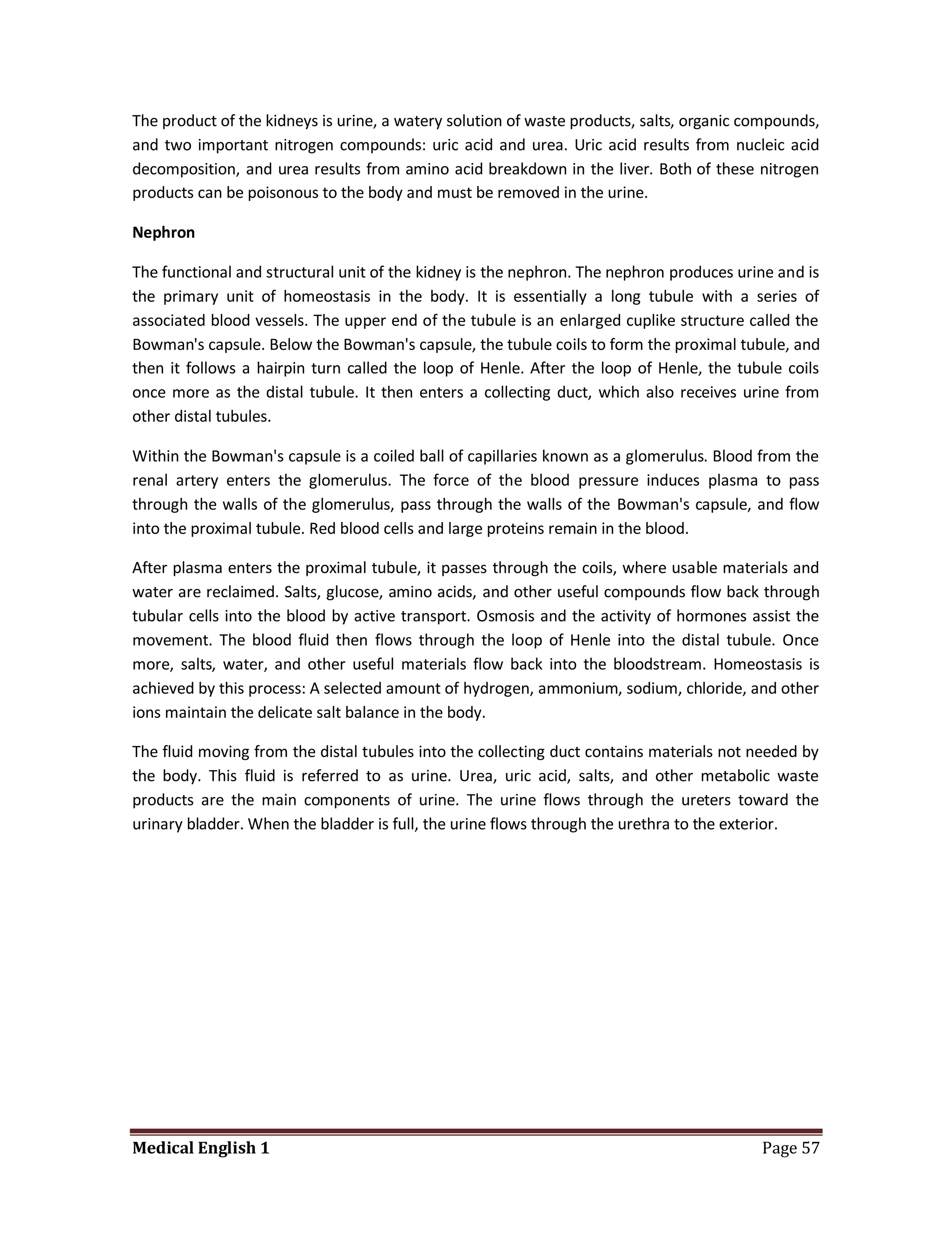 The product of the kidneys is urine, a watery solution of waste products, salts, organic compounds,
and two important nitrogen compounds: uric acid and urea. Uric acid results from nucleic acid
decomposition, and urea results from amino acid breakdown in the liver. Both of these nitrogen
products can be poisonous to the body and must be removed in the urine.

Nephron

The functional and structural unit of the kidney is the nephron. The nephron produces urine and is
the primary unit of homeostasis in the body. It is essentially a long tubule with a series of
associated blood vessels. The upper end of the tubule is an enlarged cuplike structure called the
Bowman's capsule. Below the Bowman's capsule, the tubule coils to form the proximal tubule, and
then it follows a hairpin turn called the loop of Henle. After the loop of Henle, the tubule coils
once more as the distal tubule. It then enters a collecting duct, which also receives urine from
other distal tubules.

Within the Bowman's capsule is a coiled ball of capillaries known as a glomerulus. Blood from the
renal artery enters the glomerulus. The force of the blood pressure induces plasma to pass
through the walls of the glomerulus, pass through the walls of the Bowman's capsule, and flow
into the proximal tubule. Red blood cells and large proteins remain in the blood.

After plasma enters the proximal tubule, it passes through the coils, where usable materials and
water are reclaimed. Salts, glucose, amino acids, and other useful compounds flow back through
tubular cells into the blood by active transport. Osmosis and the activity of hormones assist the
movement. The blood fluid then flows through the loop of Henle into the distal tubule. Once
more, salts, water, and other useful materials flow back into the bloodstream. Homeostasis is
achieved by this process: A selected amount of hydrogen, ammonium, sodium, chloride, and other
ions maintain the delicate salt balance in the body.

The fluid moving from the distal tubules into the collecting duct contains materials not needed by
the body. This fluid is referred to as urine. Urea, uric acid, salts, and other metabolic waste
products are the main components of urine. The urine flows through the ureters toward the
urinary bladder. When the bladder is full, the urine flows through the urethra to the exterior.




Medical English 1                                                                         Page 57
 