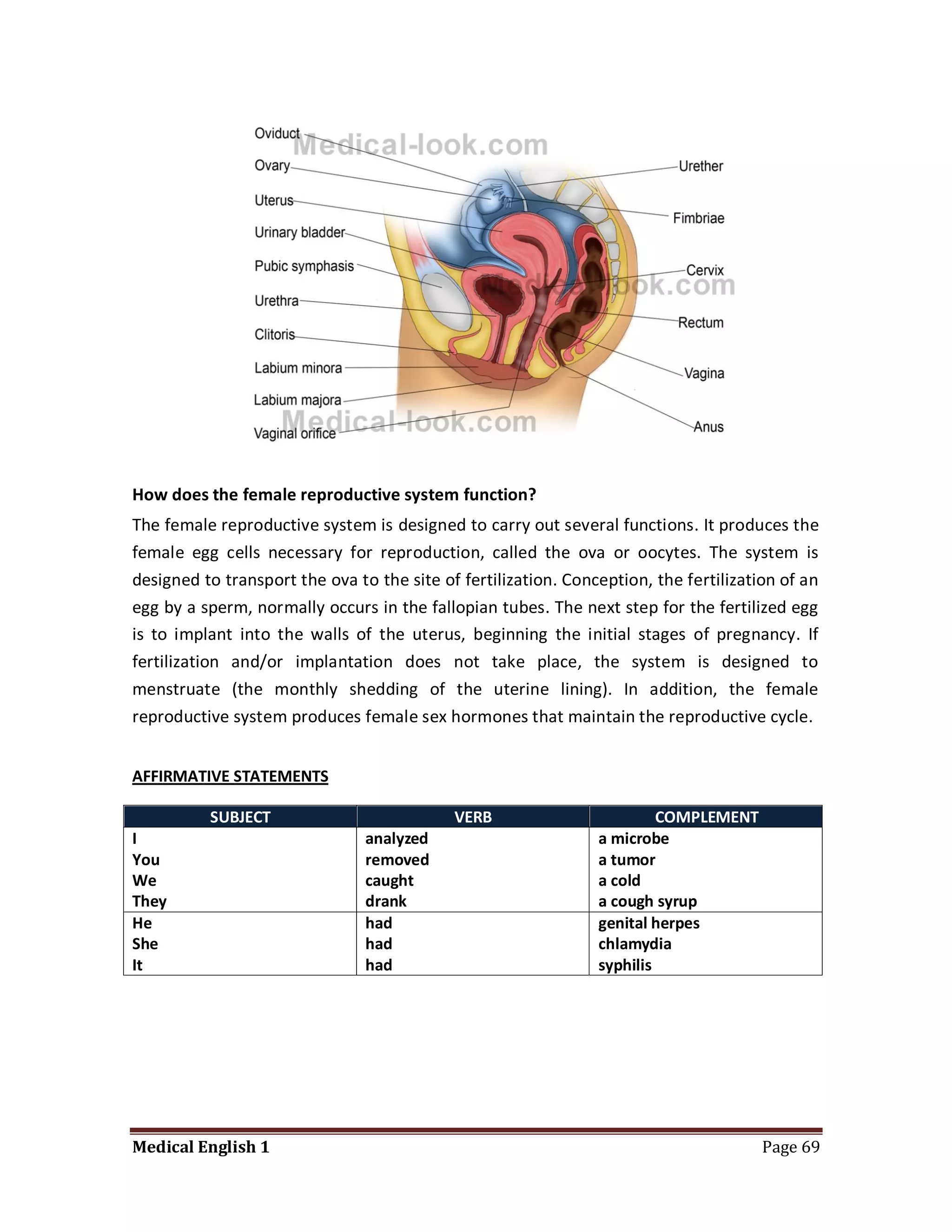 How does the female reproductive system function?
The female reproductive system is designed to carry out several functions. It produces the
female egg cells necessary for reproduction, called the ova or oocytes. The system is
designed to transport the ova to the site of fertilization. Conception, the fertilization of an
egg by a sperm, normally occurs in the fallopian tubes. The next step for the fertilized egg
is to implant into the walls of the uterus, beginning the initial stages of pregnancy. If
fertilization and/or implantation does not take place, the system is designed to
menstruate (the monthly shedding of the uterine lining). In addition, the female
reproductive system produces female sex hormones that maintain the reproductive cycle.


AFFIRMATIVE STATEMENTS

          SUBJECT                           VERB                         COMPLEMENT
I                               analyzed                        a microbe
You                             removed                         a tumor
We                              caught                          a cold
They                            drank                           a cough syrup
He                              had                             genital herpes
She                             had                             chlamydia
It                              had                             syphilis




Medical English 1                                                                      Page 69
 