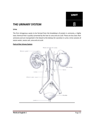UNIT


THE URINARY SYSTEM                                                                       8
Urine

The first nitrogenous waste to be formed from the breakdown of protein is ammonia, a highly
toxic chemical that is quickly converted by the liver to urea and uric acid. These are less toxic than
ammonia and are transported in the blood to the kidneys for excretion in urine. Urine consists of
excess water, excess salt, urea and uric acid.

Parts of the Urinary System




Medical English 1                                                                            Page 55
 