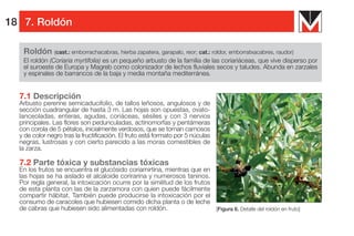 Manual de intoxicacion por plantas | PDF