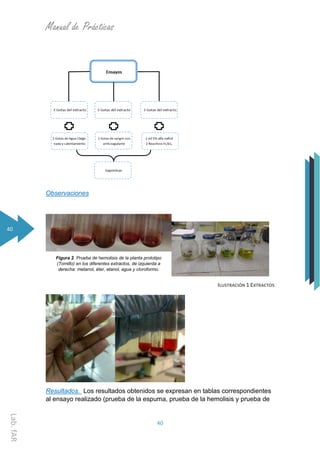 Manual de Prácticas
40
Lab.fAR
40
Observaciones
ILUSTRACIÓN 1 EXTRACTOS
Resultados. Los resultados obtenidos se expresan en tablas correspondientes
al ensayo realizado (prueba de la espuma, prueba de la hemolisis y prueba de
Figura 2. Prueba de hemolisis de la planta prototipo
(Tomillo) en los diferentes extractos, de izquierda a
derecha: metanol, éter, etanol, agua y cloroformo.
 