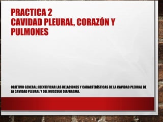 PRACTICA 2
CAVIDAD PLEURAL, CORAZÓN Y
PULMONES
OBJETIVO GENERAL: IDENTIFICAR LAS RELACIONES Y CARACTERÍSTICAS DE LA CAVIDAD PLEURAL DE
LA CAVIDAD PLEURAL Y DEL MUSCULO DIAFRAGMA.
 