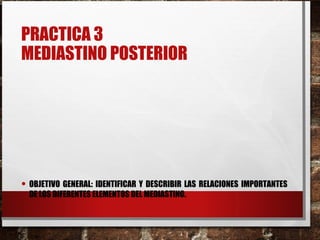 PRACTICA 3
MEDIASTINO POSTERIOR
• OBJETIVO GENERAL: IDENTIFICAR Y DESCRIBIR LAS RELACIONES IMPORTANTES
DE LOS DIFERENTES ELEMENTOS DEL MEDIASTINO.
 